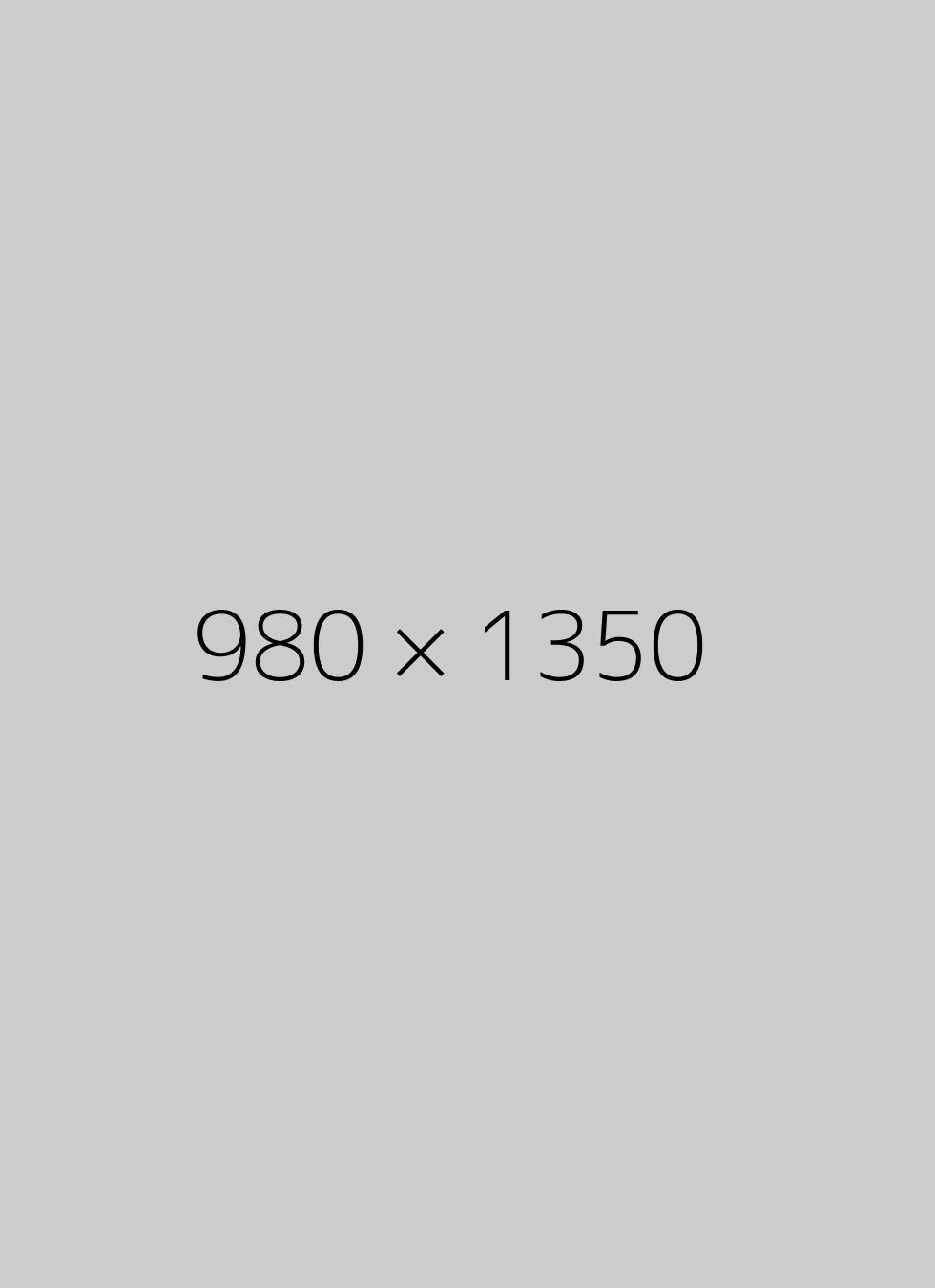 980x1350x1